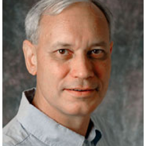David Vicario
