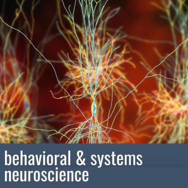 Behavioral and Systems Neuroscience